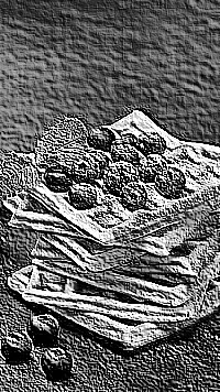 Skamielina