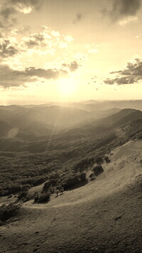 Sepia