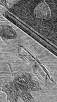 Skamielina