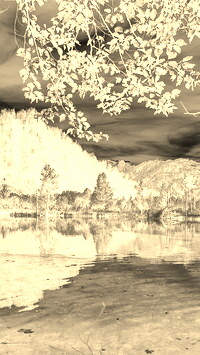 Sepia + Negatyw
