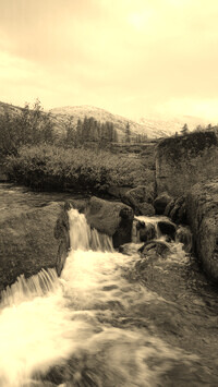 Sepia
