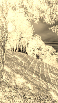 Sepia + Negatyw