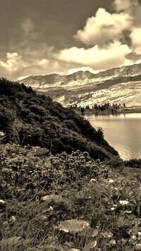 Sepia