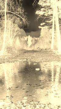 Sepia + Negatyw