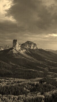 Szary + Sepia