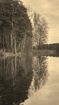 Sepia