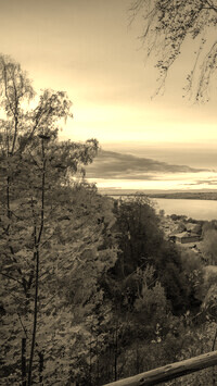 Szary + Sepia