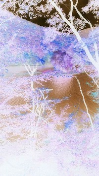 Negatyw