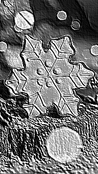 Skamielina