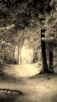 Szary + Sepia