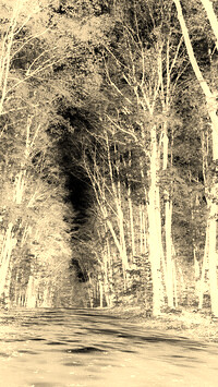Sepia + Negatyw
