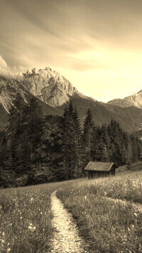 Szary + Sepia