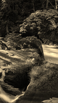 Sepia