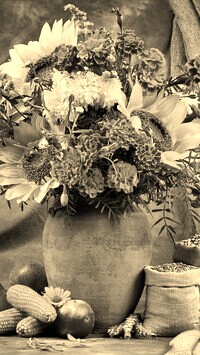 Szary + Sepia