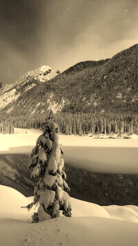 Szary + Sepia