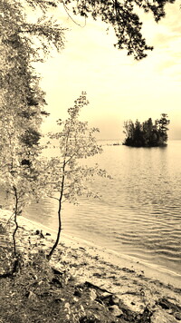 Szary + Sepia