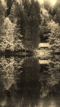 Szary + Sepia