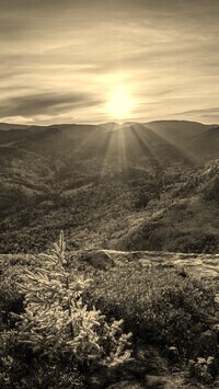 Sepia