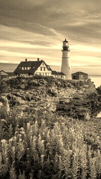Sepia