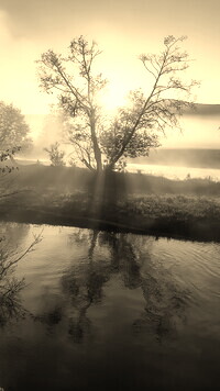 Szary + Sepia