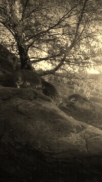 Sepia