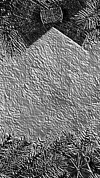 Skamielina
