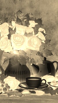 Sepia + Negatyw