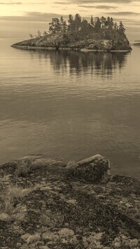 Szary + Sepia