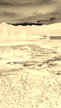 Sepia + Negatyw