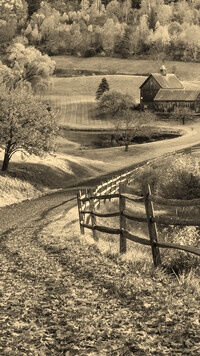 Sepia