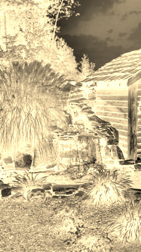 Sepia + Negatyw