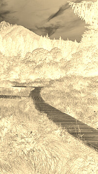 Sepia + Negatyw
