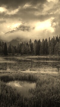 Szary + Sepia