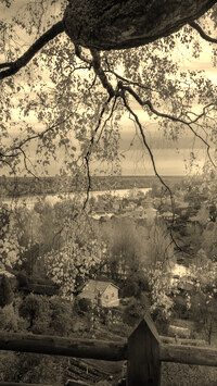 Sepia