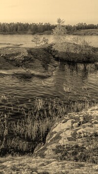 Sepia