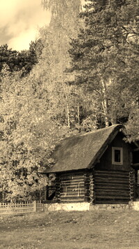 Sepia