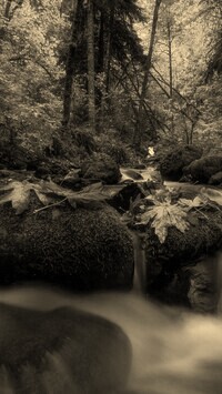 Szary + Sepia