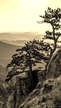 Szary + Sepia