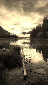 Szary + Sepia
