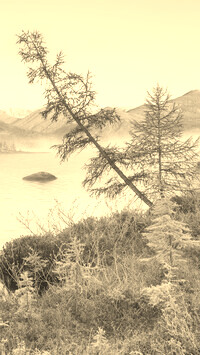 Szary + Sepia