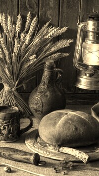 Szary + Sepia