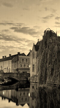 Szary + Sepia