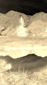 Sepia + Negatyw