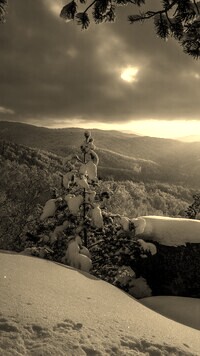 Sepia