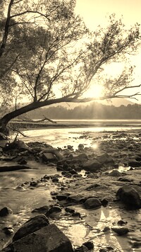 Szary + Sepia