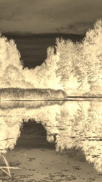 Sepia + Negatyw
