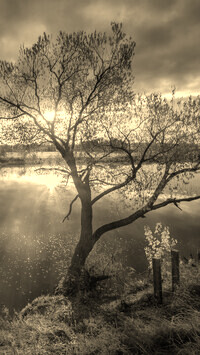 Szary + Sepia