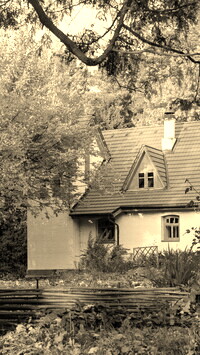 Szary + Sepia