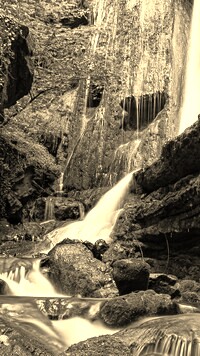 Szary + Sepia