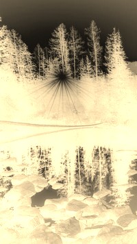 Sepia + Negatyw
